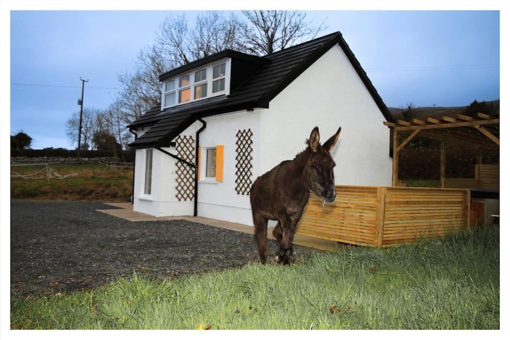 Killeavy Cottage Meigh Kültér fotó