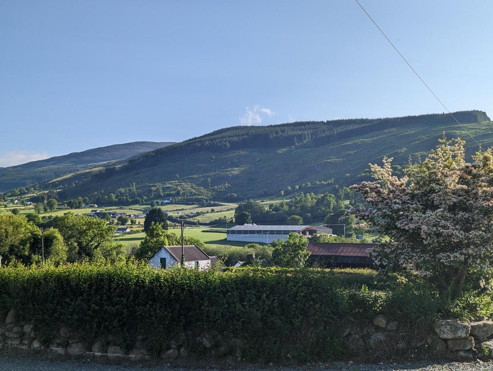 Killeavy Cottage Meigh Kültér fotó