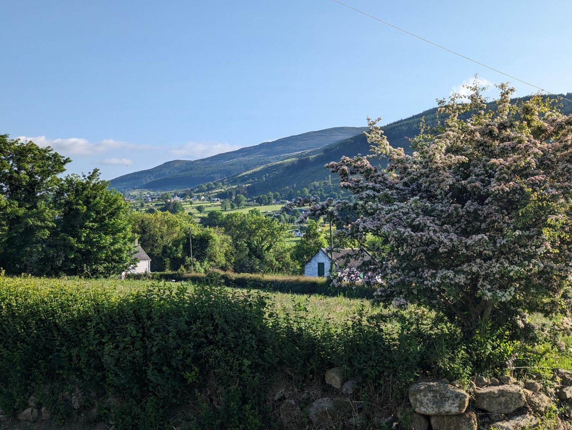 Killeavy Cottage Meigh Kültér fotó