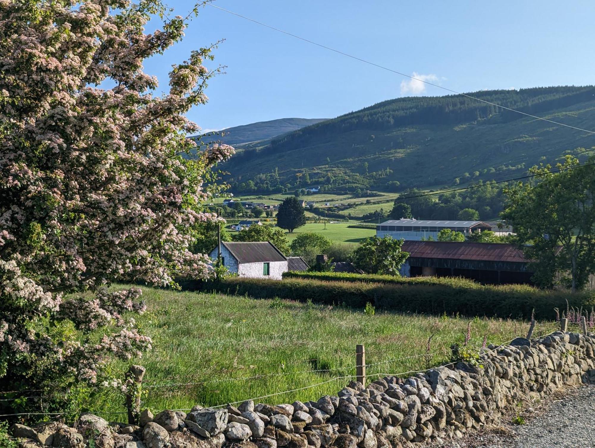 Killeavy Cottage Meigh Kültér fotó