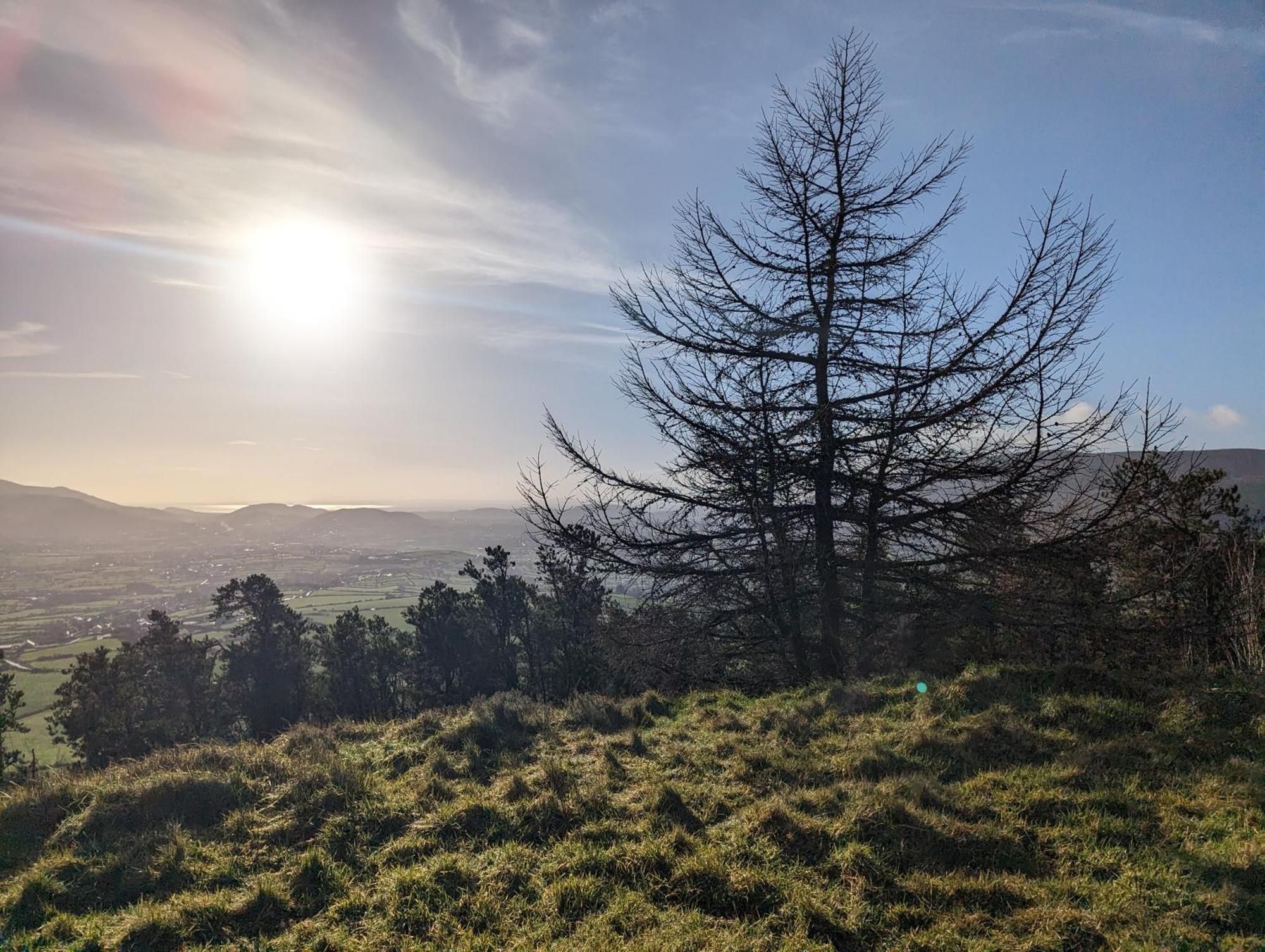 Killeavy Cottage Meigh Kültér fotó