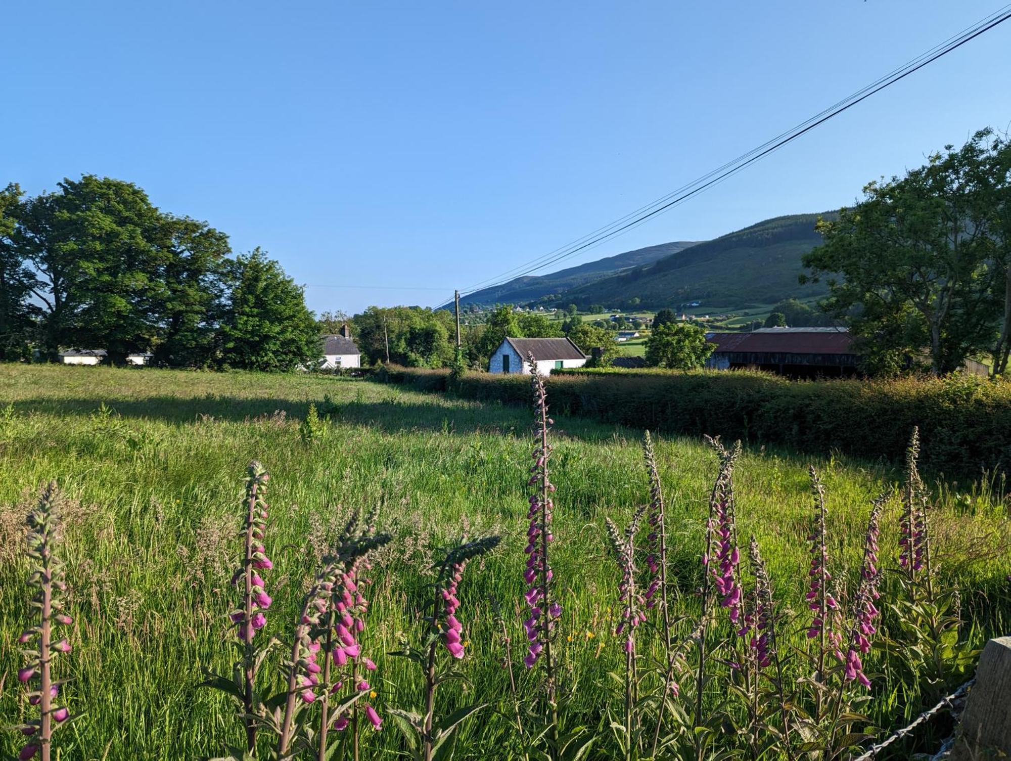 Killeavy Cottage Meigh Kültér fotó